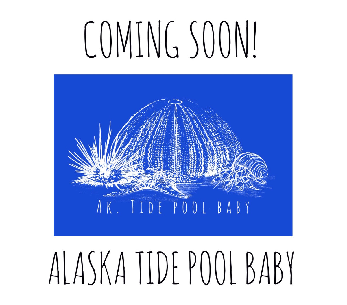 ALASKA TIDE POOL BABY